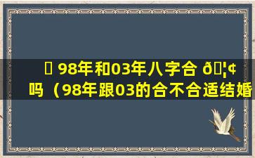 ☘ 98年和03年八字合 🦢 吗（98年跟03的合不合适结婚）